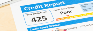 credit report with a 425 credit score.