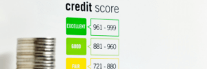 Credit score scale.
